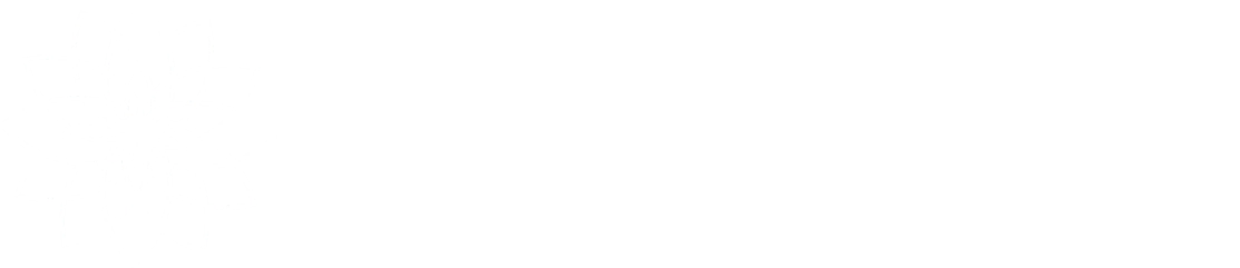 Logo Clínica Santo Domingo